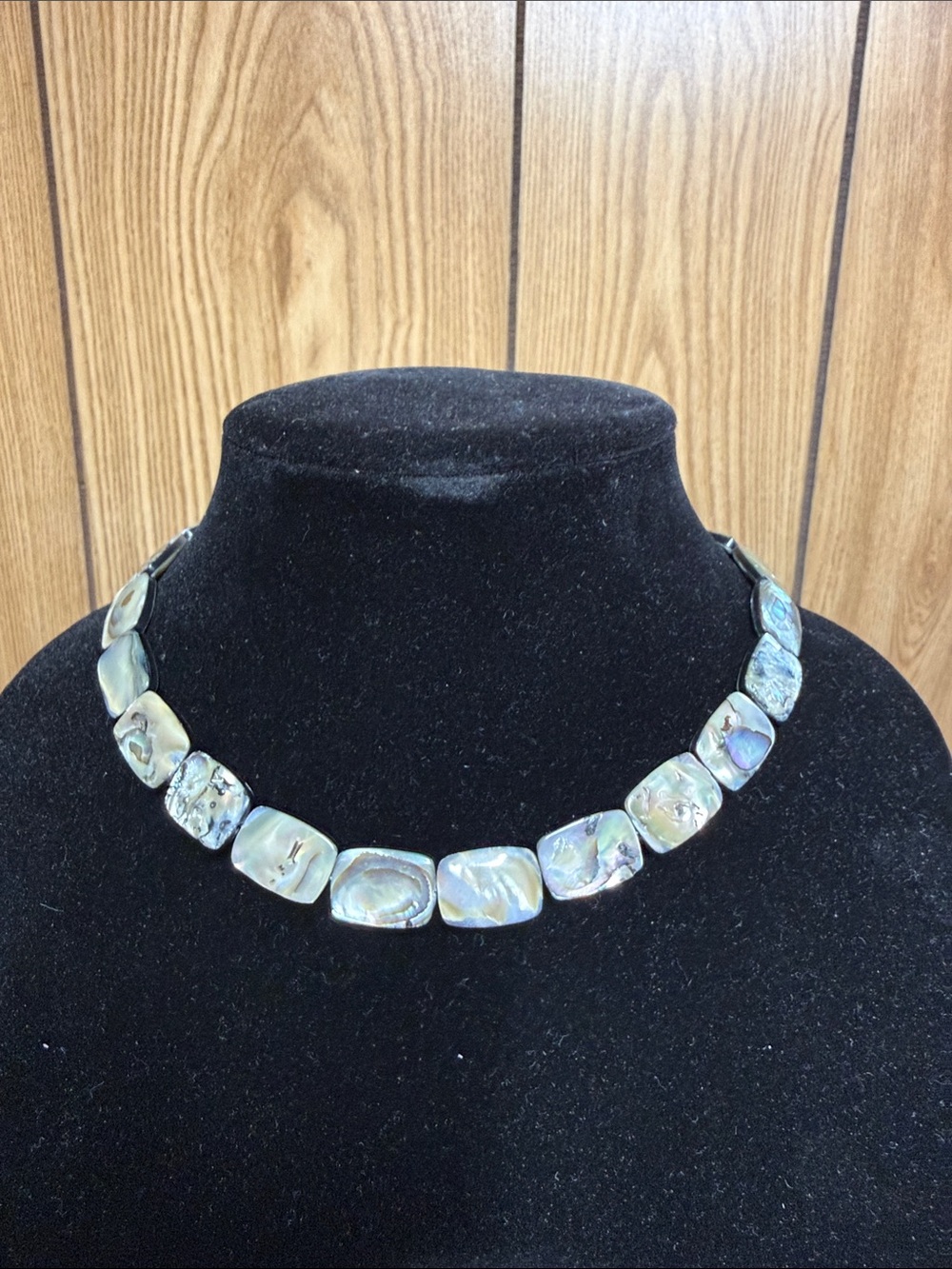 Abalone Shell Choker Necklace - Iridescent Multi-Color